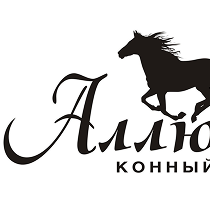 Партнёр